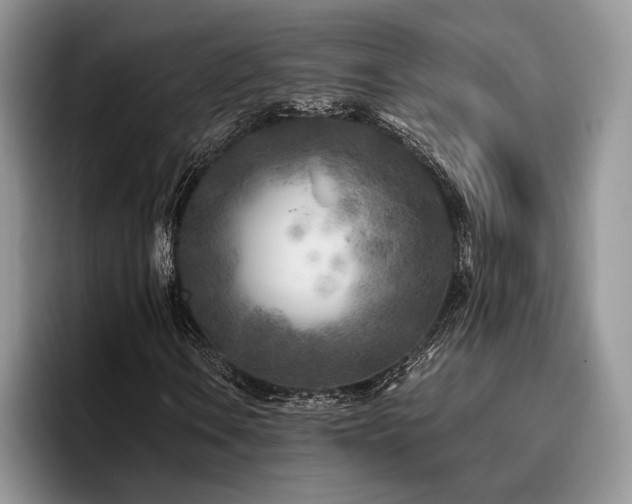 X0000096141106200801181127