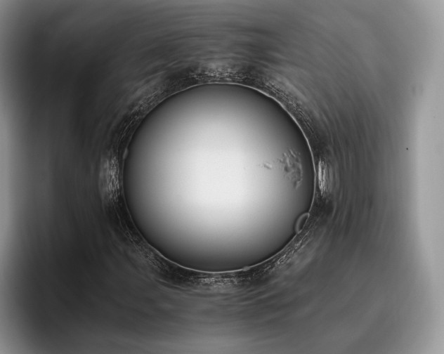 X0000096141107200801181127