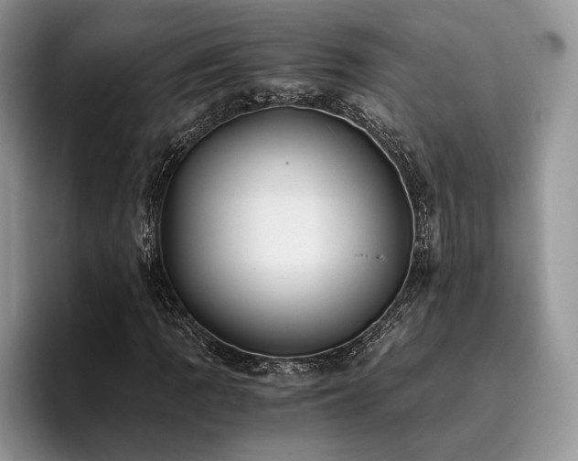 X0000096141109200801181127