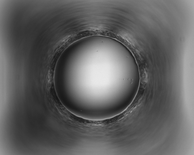 X0000096141110200801181127