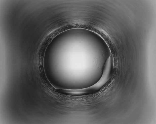 X0000096141112200801181127
