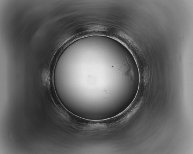 X0000096141113200801181127