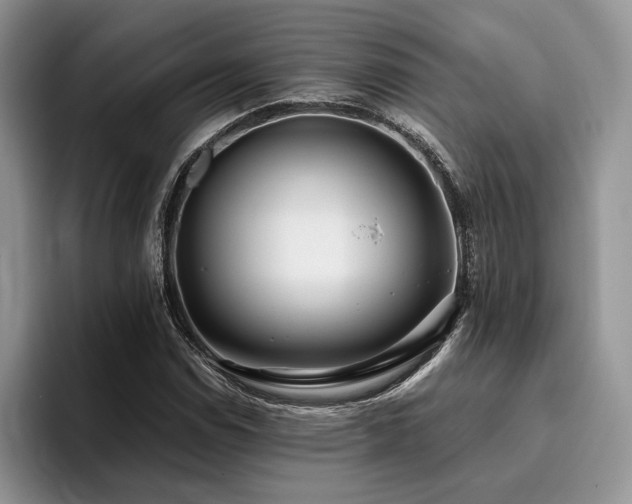 X0000096141114200801181127
