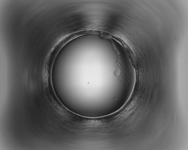 X0000096141115200801181127