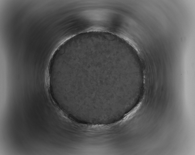 X0000096141117200801181127