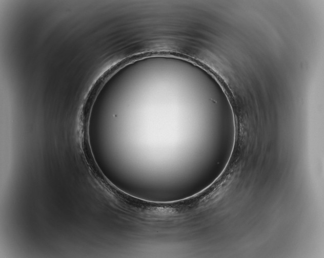 X0000096141119200801181127