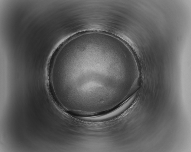 X0000096141120200801181127