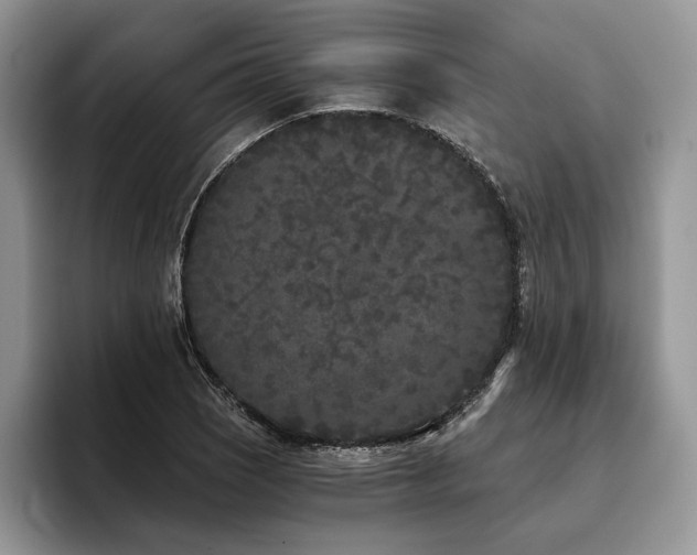 X0000096141121200801181127