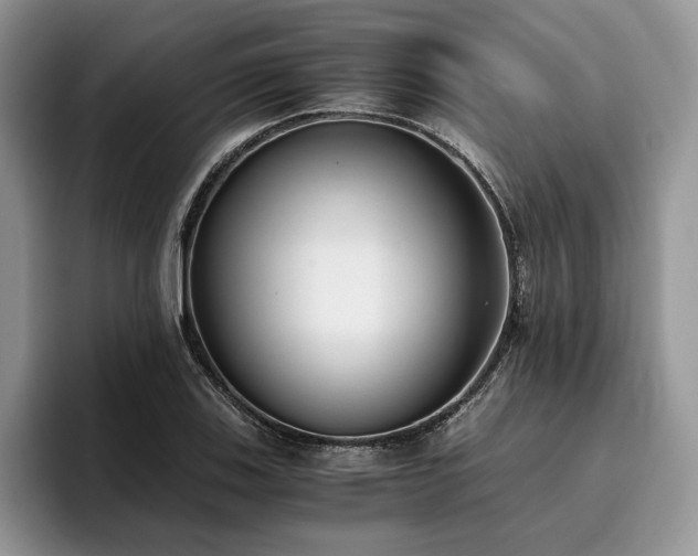 X0000096141123200801181127