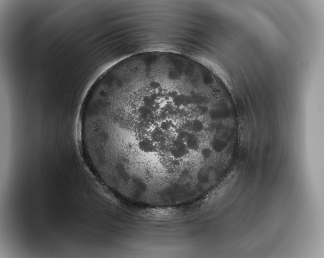 X0000096141125200801181127