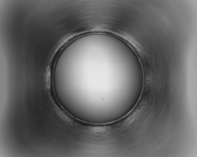 X0000096141126200801181127