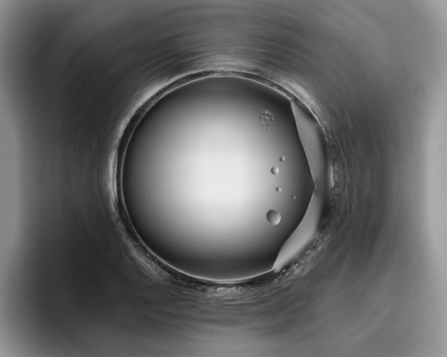 X0000096141128200801181127