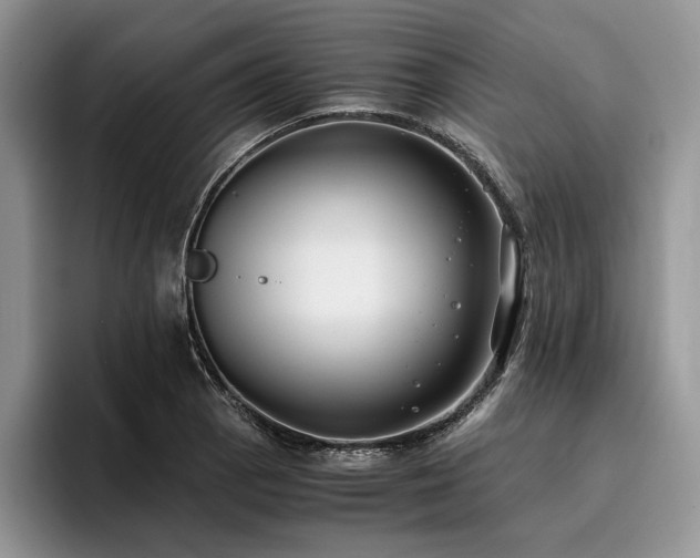 X0000096141129200801181127