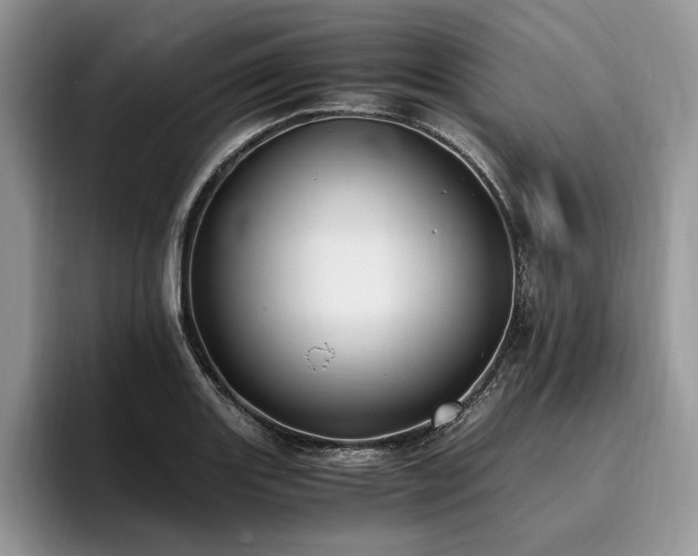X0000096141131200801181127