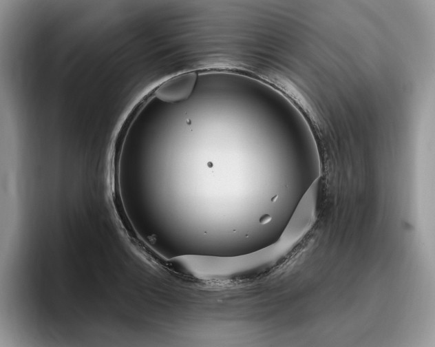 X0000096141132200801181127