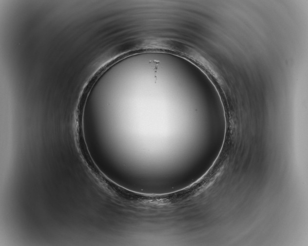X0000096141133200801181127