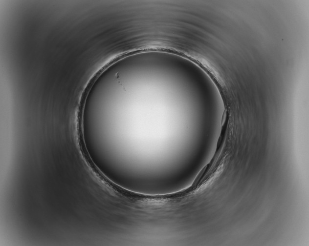 X0000096141134200801181127