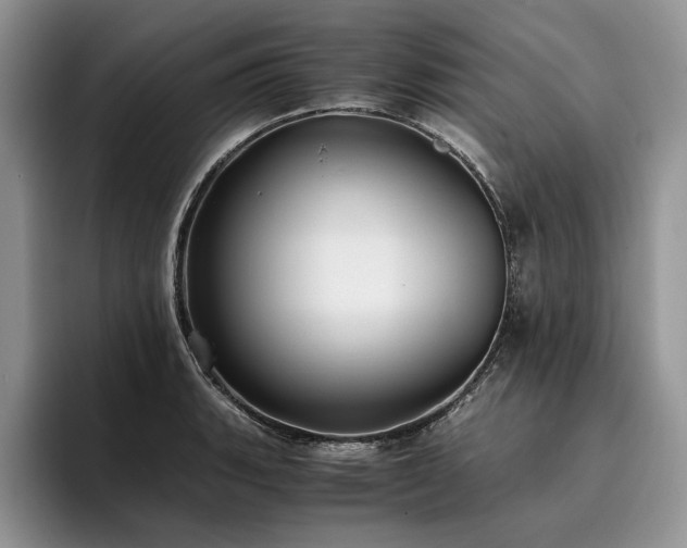 X0000096141135200801181127