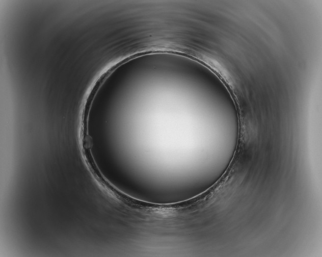 X0000096141136200801181127
