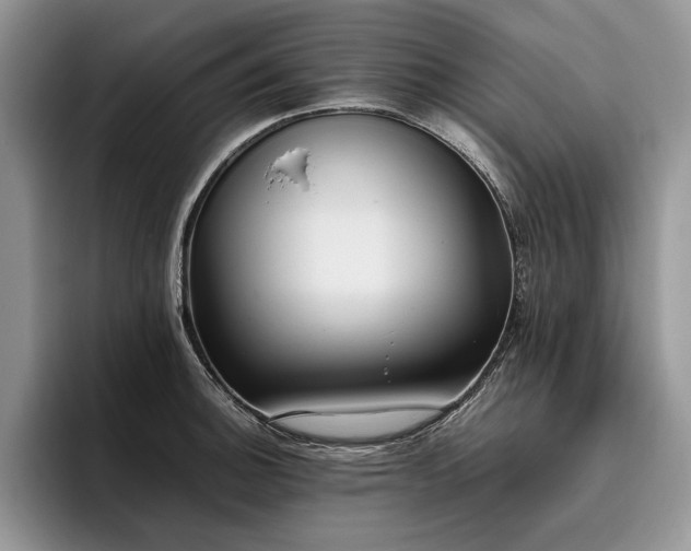 X0000096141140200801181127