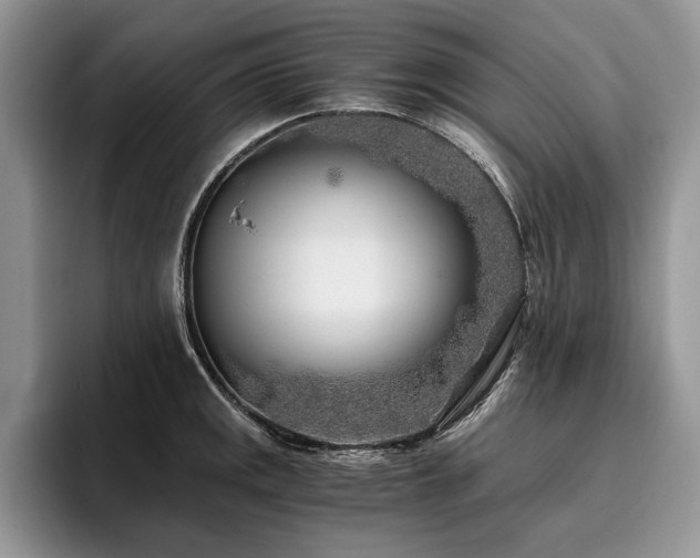 X0000096141141200801181127