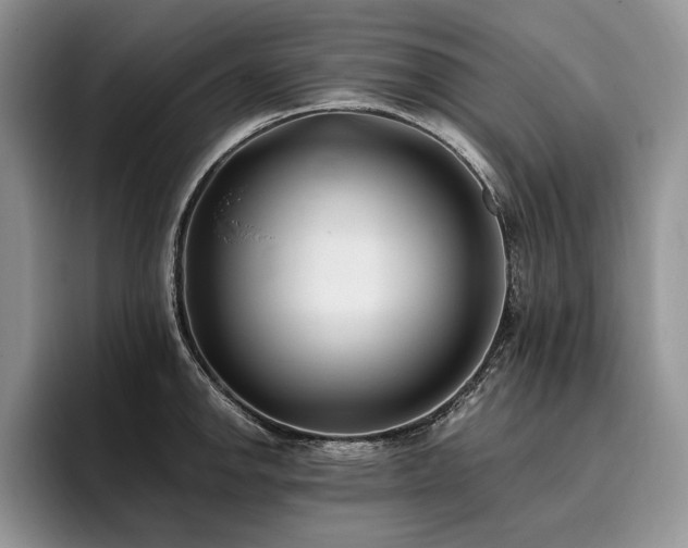 X0000096141142200801181127