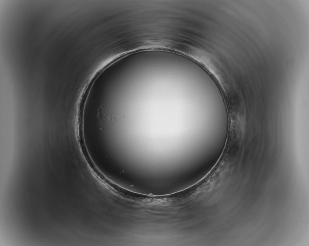 X0000096141143200801181127