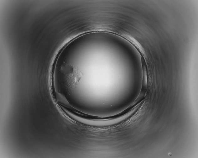 X0000096141144200801181127