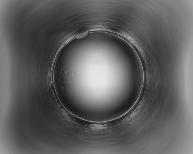 X0000096141145200801181127