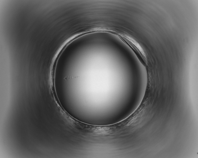 X0000096141148200801181127