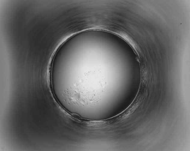X0000096141151200801181127