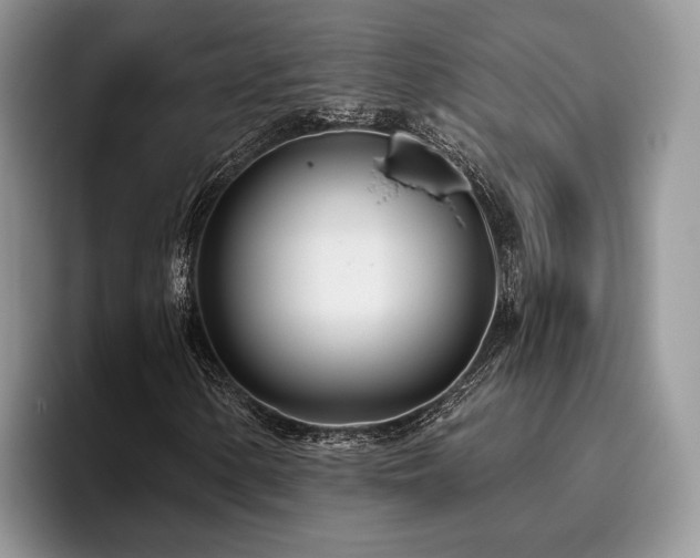 X0000096141154200801181127