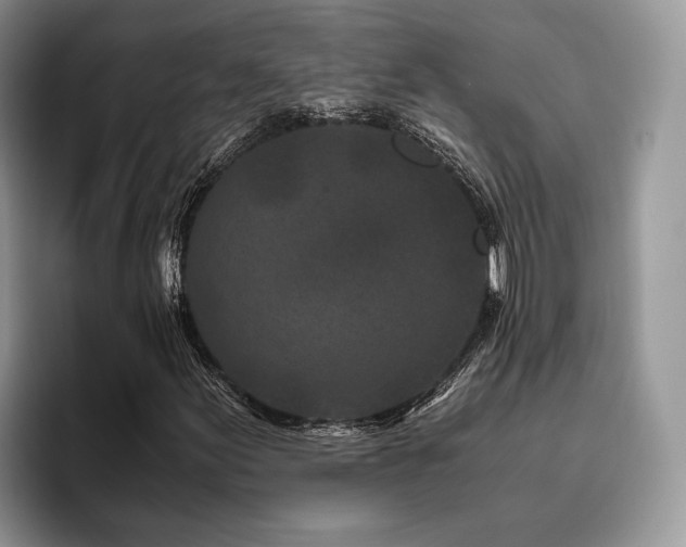X0000096141155200801181127