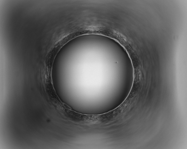 X0000096141158200801181127