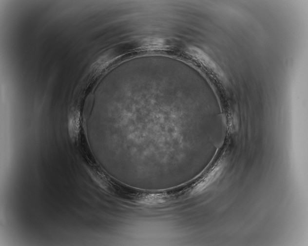 X0000096141161200801181127