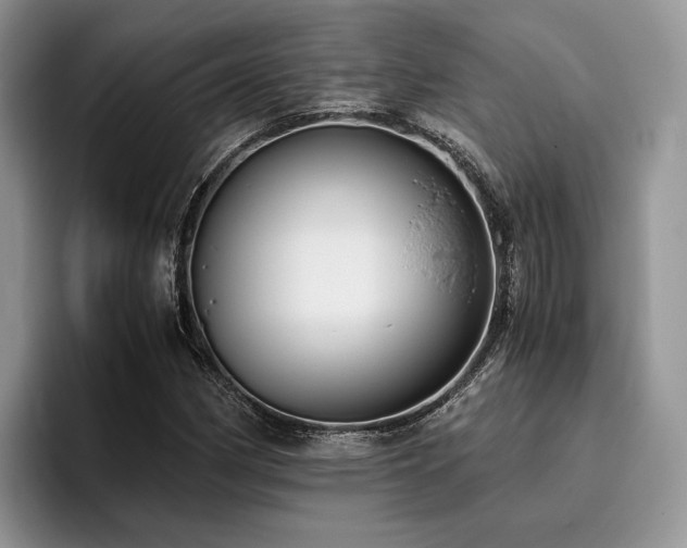 X0000096141162200801181127