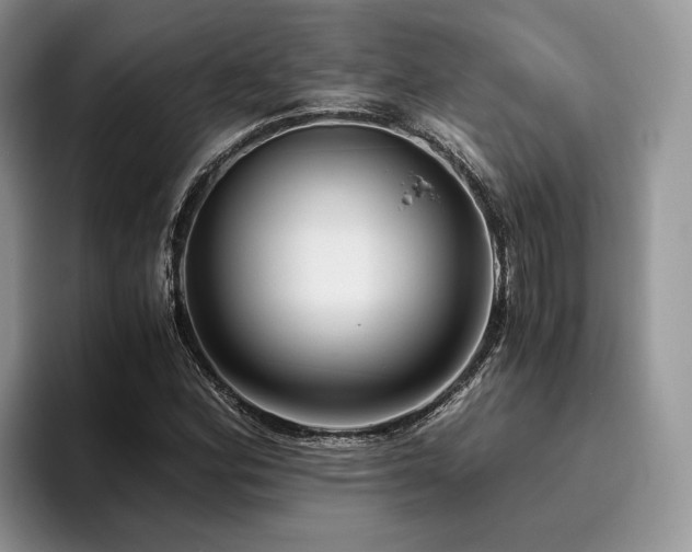 X0000096141164200801181127