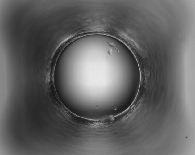 X0000096141166200801181127