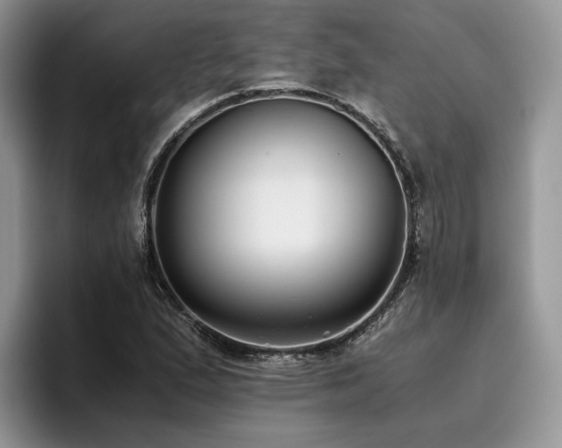 X0000096141167200801181127