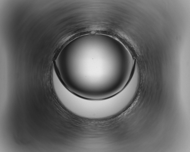 X0000096141169200801181127