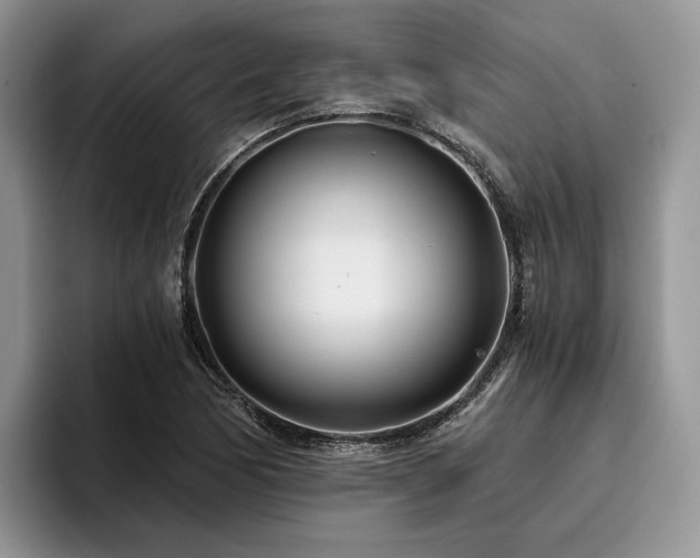 X0000096141170200801181127