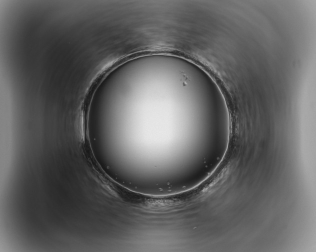 X0000096141171200801181127