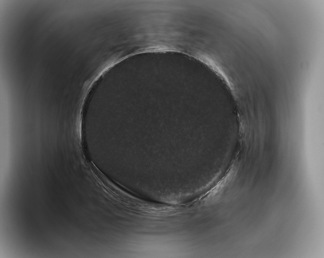 X0000096141173200801181127