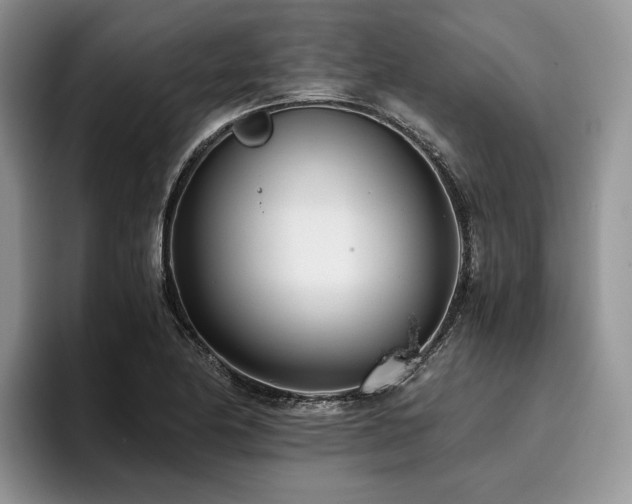 X0000096141174200801181127