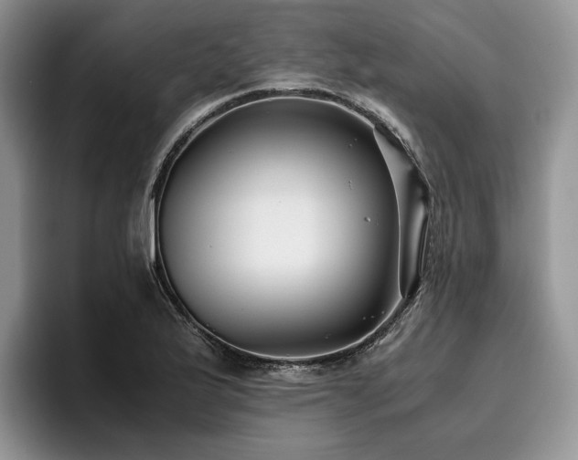 X0000096141175200801181127