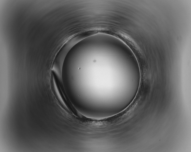 X0000096141177200801181127