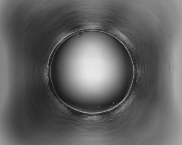 X0000096141178200801181127