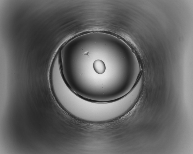 X0000096141181200801181126