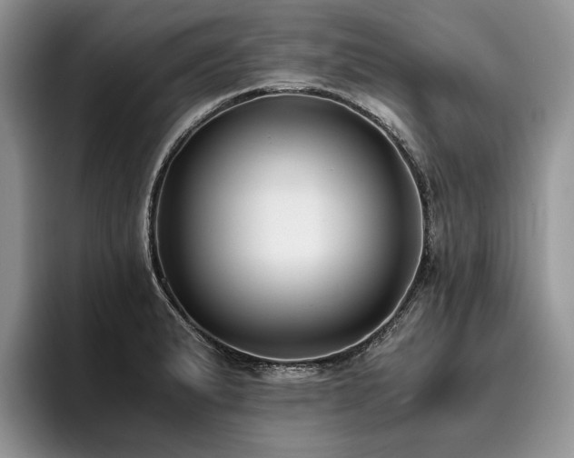 X0000096141183200801181126