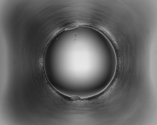 X0000096141185200801181126